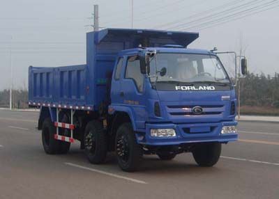 Foton  BJ3163DJPFB1 Dump truck