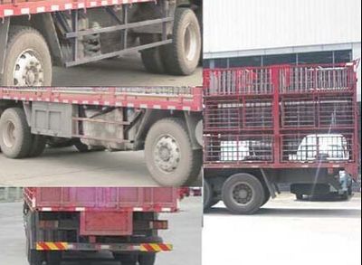 Hongyan  CQ5315CCQHTVG466 Livestock and poultry transport vehicles