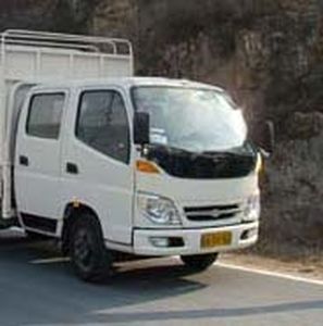 Foton  BJ5032V3DB3S1 Grate type transport vehicle