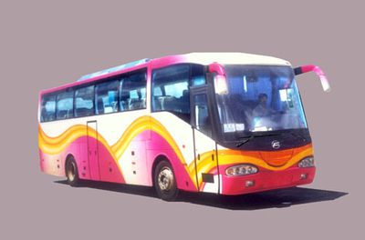 Feichi  FSQ6123CY2 coach