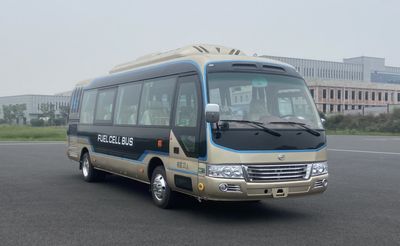 Feichi  FSQ6800FCEVZB Fuel cell buses