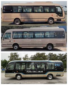 Feichi  FSQ6800FCEVZB Fuel cell buses