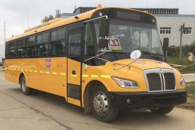 Shangrao  SR6995DZA School buses exclusively for primary and secondary school students