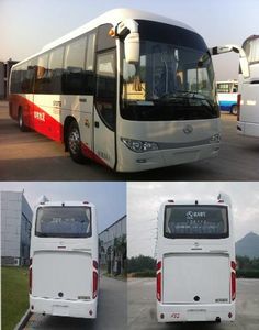 Jinlong  XMQ6120BCD5D coach