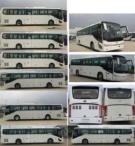 Jinlong  XMQ6120BCD5D coach