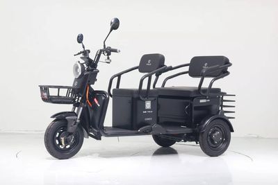 Tailing  TL1200DZK13 Electric tricycle