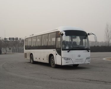 Jinlong  XMQ6110ACD4D coach