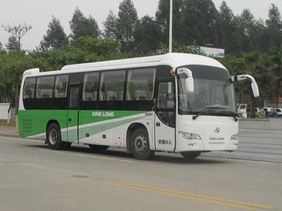 Jinlong  XMQ6110ACD4D coach