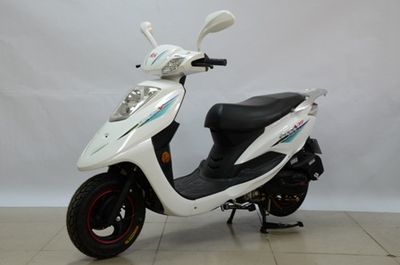 Dayang DY110T6MTwo wheeled motorcycles