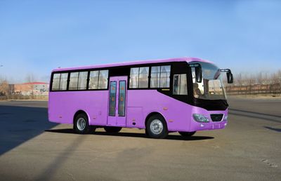 Heilongjiang brand automobileHLJ5101XCCDining car