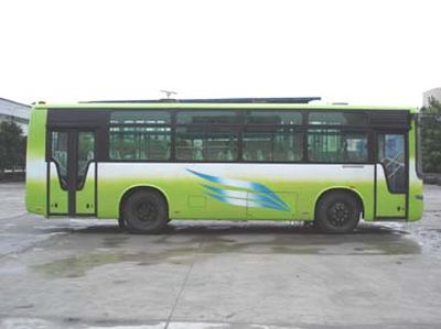 Hengtong Bus CKZ6898NB coach