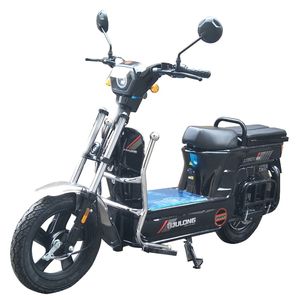 Julong  JL1300DT2 Electric two wheeled motorcycle