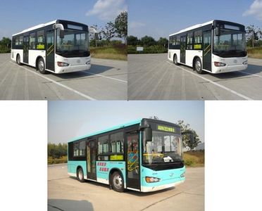 Hagrid KLQ6850GCE4 City buses