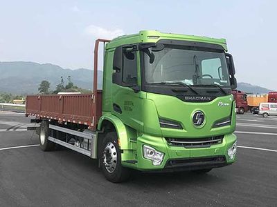 Shaanxi Automobile SX1189VB481 Truck