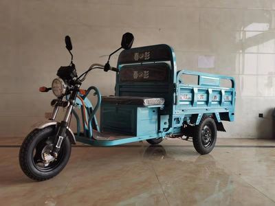 Chunpeng  CP1500DZH3 Electric tricycle