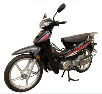 Dayun  DY1102KF Two wheeled motorcycles