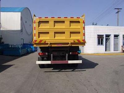 Dayun  DYX3251PA41WPD3B Dump truck