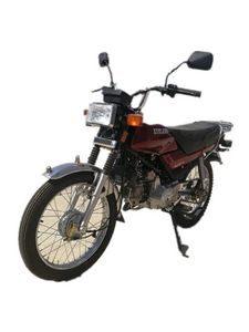 Xunlong XL11011Two wheeled motorcycles