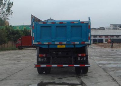 Jialong  DNC3113G130 Dump truck