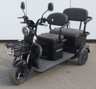 Five Star Diamond Leopard ZB1000DZK8 Electric tricycle