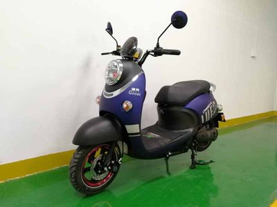 Green Wind  LF600DQT4 Electric two wheeled light motorcycle