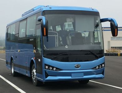 BYD BYD6900HLEV1Pure electric passenger cars