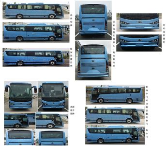 BYD  BYD6900HLEV1 Pure electric passenger cars