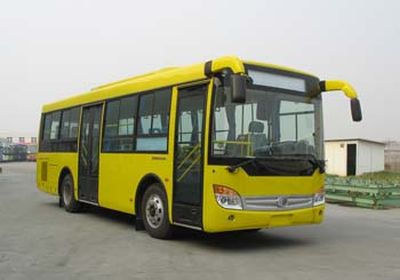 Shenlong brand automobile SLK6891UF5G3 City buses