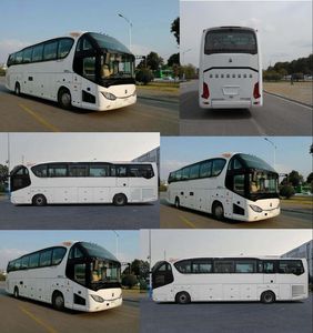 Yaxing  YBL6125H3QP1 coach