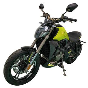 Shengshi ZT300VTwo wheeled motorcycles