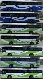 Shenwo  SWB6128BEV81G Pure electric city buses