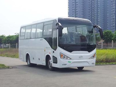 Wuzhoulong  WZL6890NA4 coach