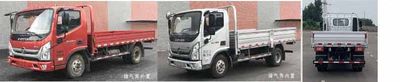 Foton  BJ1048V9JDAAB4 Truck