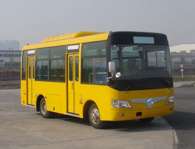 Shaolin  SLG6660EVG2 Pure electric city buses