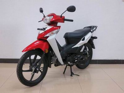 Wuyang Honda  WH1002A Two wheeled motorcycles