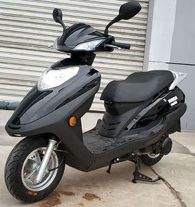 Dongzhi  DZ125T40D Two wheeled motorcycles