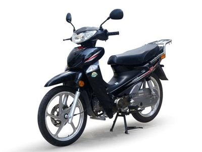 Dayang  DY48Q2D moped with two wheels 