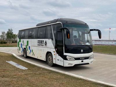 Haowo  ZZ6116HBEVQA1 Pure electric passenger cars