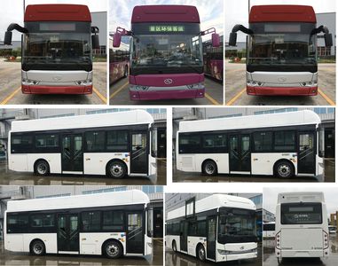 Jinlong  XMQ6850AGFCEV1 Fuel cell city buses