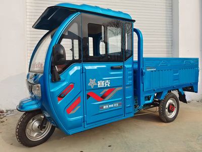 Xingsaike  XSK1500DZH2 Electric tricycle