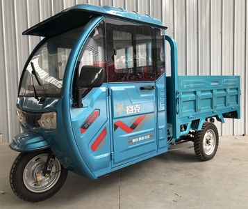 Xingsaike  XSK1500DZH2 Electric tricycle