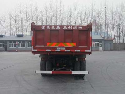 Hongchang Tianma  SMG3318BJN39H8P3 Dump truck