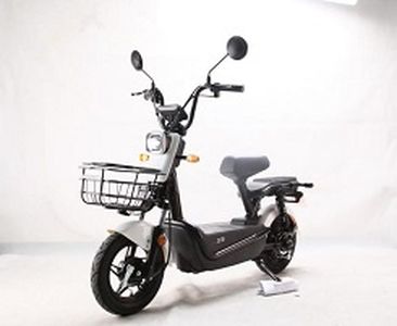 Lima  LM500DQT7 Electric two wheeled light motorcycle