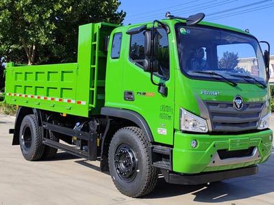 Foton  BJ3174DLPFA01 Dump truck