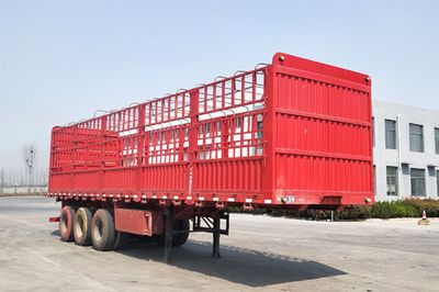 Jin Hongfa licensed car XAT9402CCY Gantry transport semi-trailer