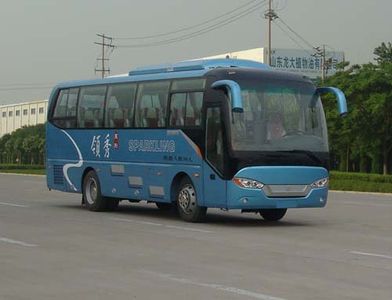 Zhongtong Automobile LCK6859HQD1 coach