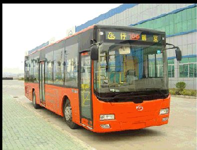 Wuzhoulong  FDG6101DG City buses