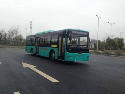 CSR Times TEG6110NG City buses