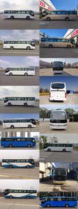 Foton  BJ6116U7BHBN1 coach