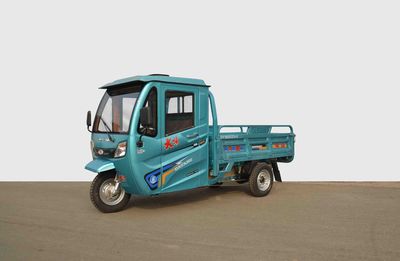 Dayang  DY1800DZH9 Electric tricycle